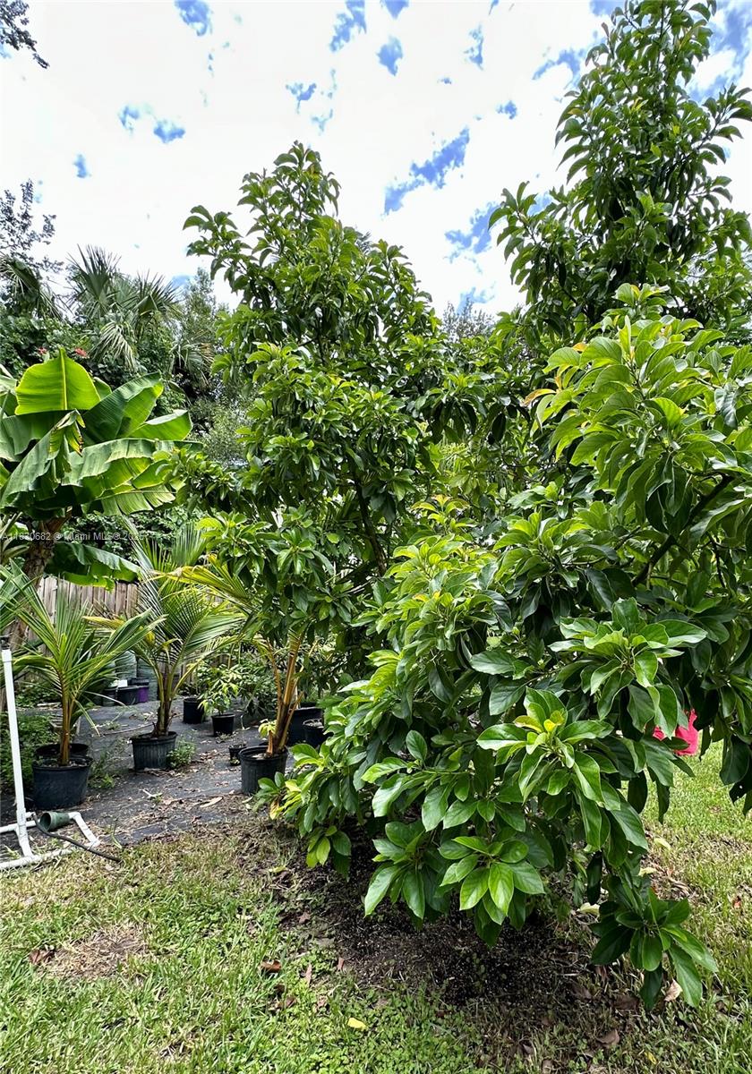 LABELLE - Residential