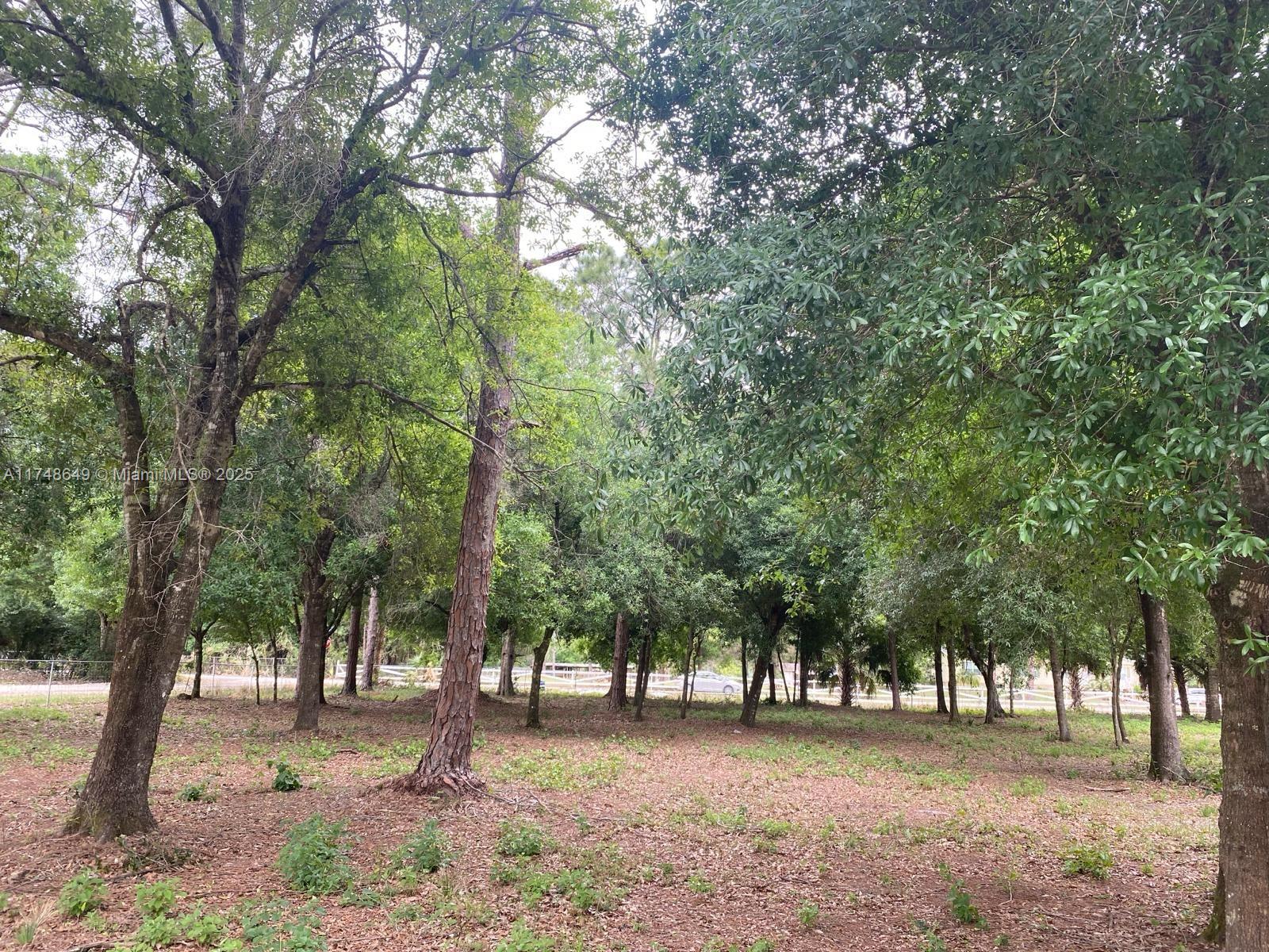This property is a great find, with big oak trees on a corner lot, making it peaceful. It's cleared with nature in mind and has space for a big house. Easy to get, and good for both investors, and people who want a calm place to live. so it's a good spot. Please ensure that your clients conduct the appropriate due diligence.
Owner Financing Available