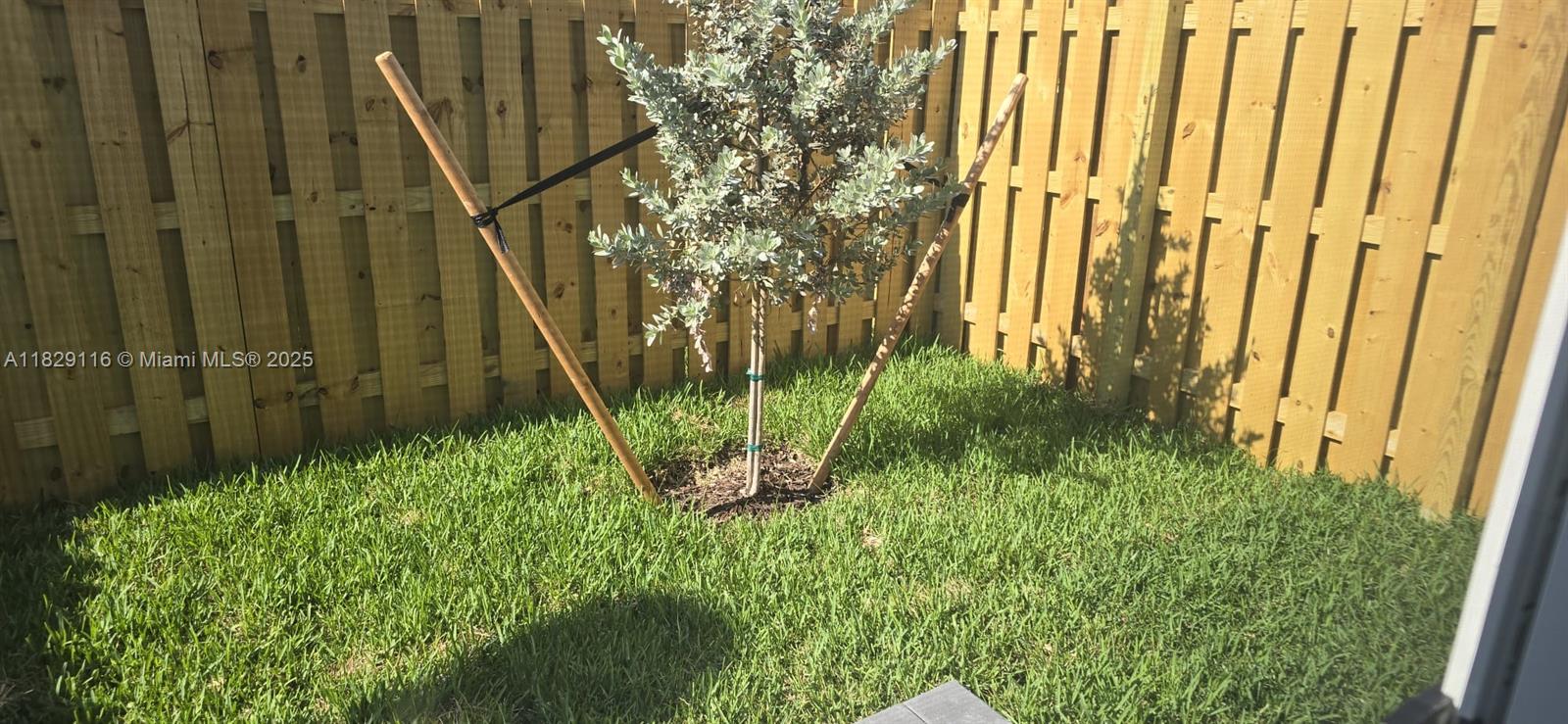 THE JARDIN ( BY LENNAR) - Residential