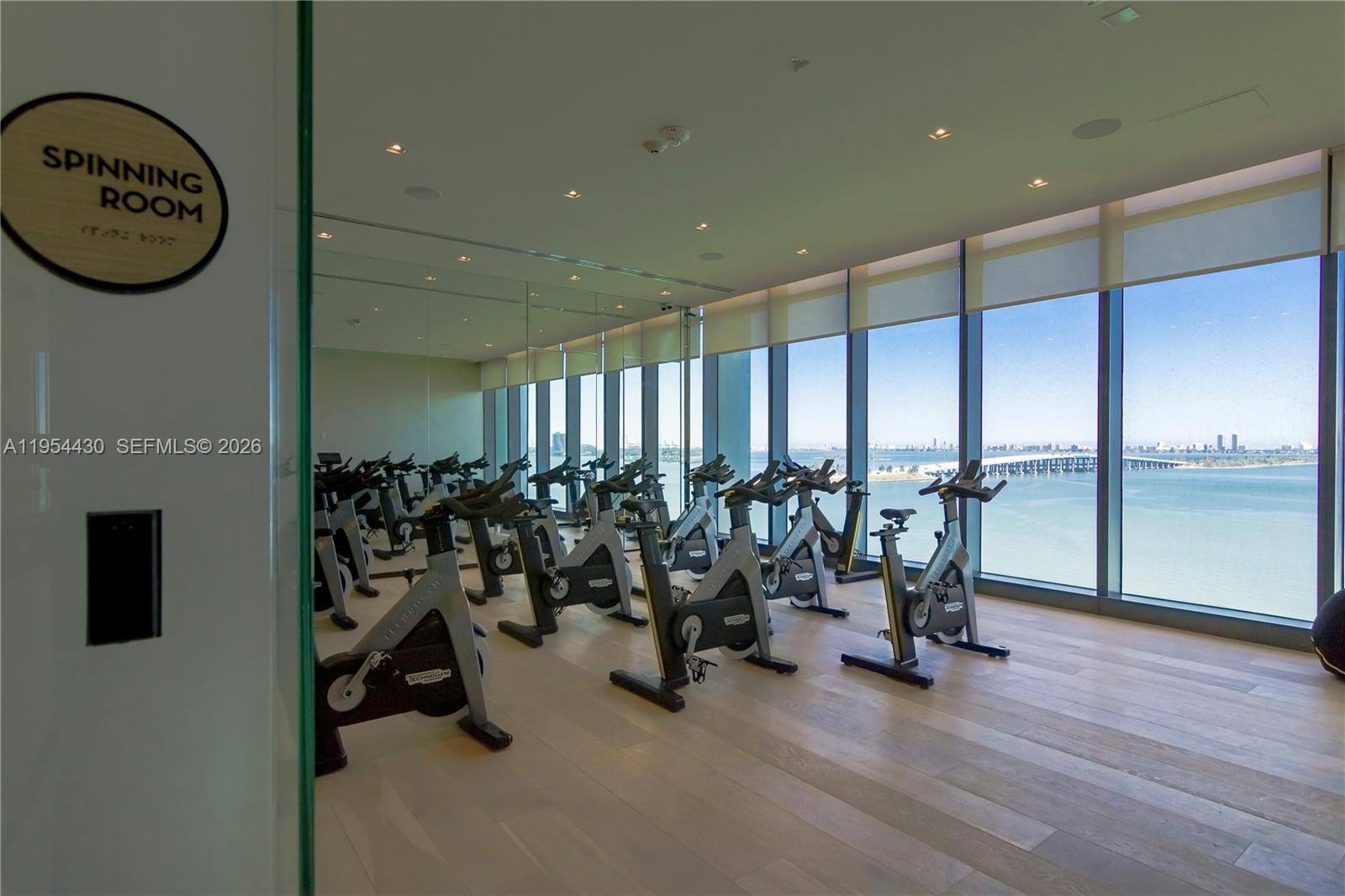 ONE PARAISO CONDO - Residential