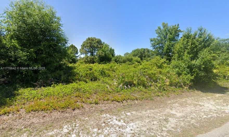 Location Location !!! Beautiful Quarter acre seconds away from Bell Blvd awaiting for you to build your future home with plenty space for pool. Seconds to SR-82 minutes to I-75, Fort Myers and Immokalee. Close to schools, shopping plaza, restaurants, banks and supermarkets.