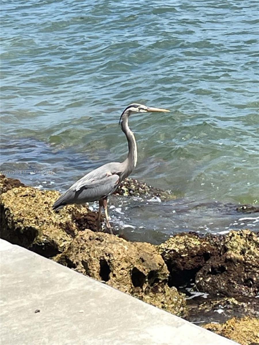 Brickell Key II - Residential