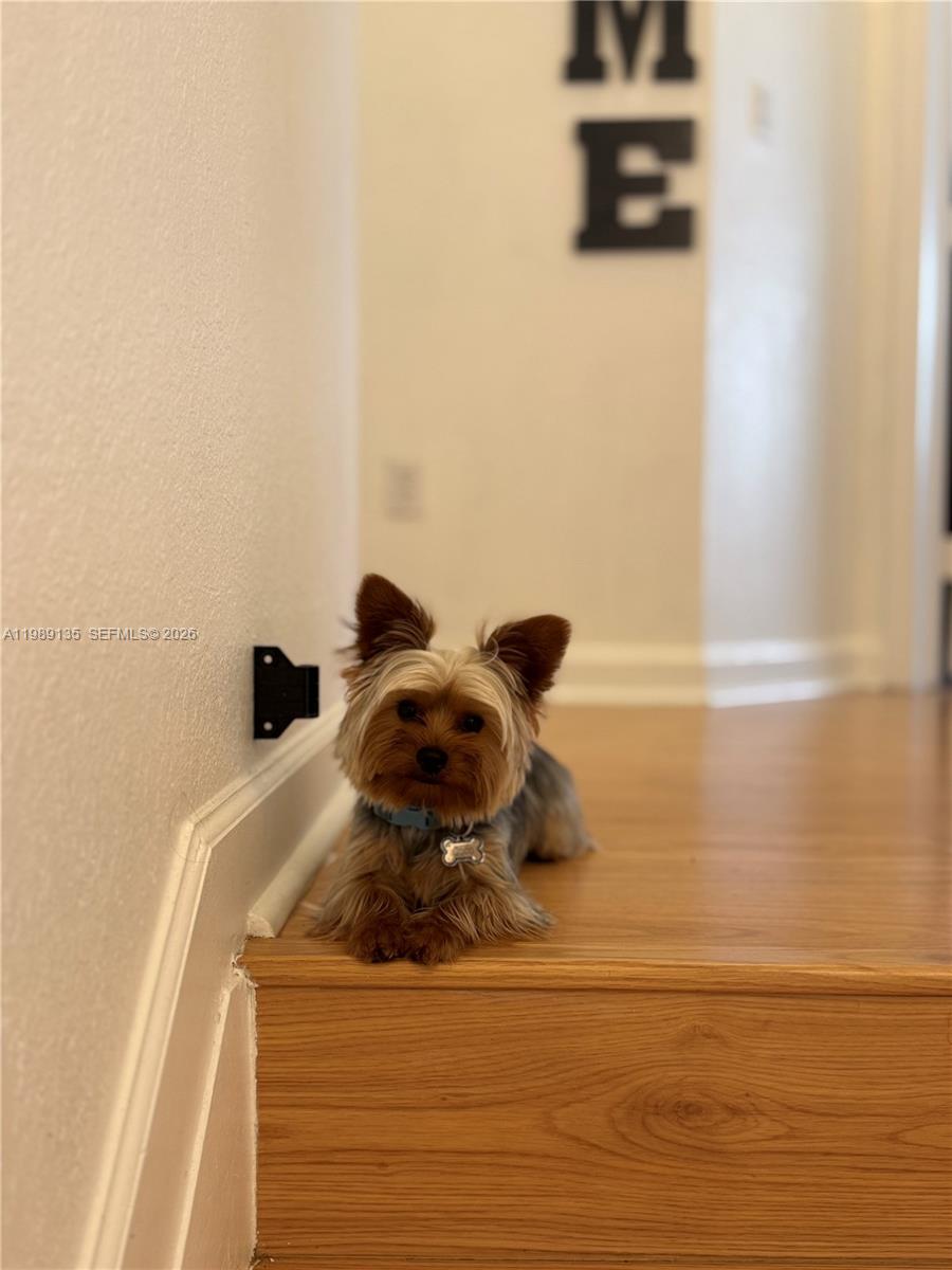 FLORIDIAN ISLES SOUTH - Residential