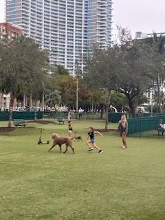 OPERA TOWER CONDO - Residential