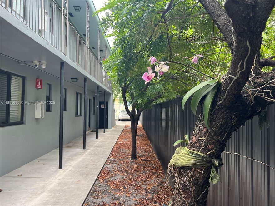 Broker 305 Exclusive we have an apartment very close to Brickell in this charming junior 1 bed, 1 bath unit at 421 SW 6th Street multi-family building with only 10 apts. Featuring impact windows, a well-maintained building, and dedicated parking, this residence blends comfort and convenience. Enjoy access to an on-site washer & dryer room, plus a seamless rental process—owner-managed and ready for move-in within 24 hours. A rare find in a prime location with fast access to dining, transit, and downtown energy.  Sorry, no pets—your goldfish is welcome, but Fido will have to sit this one out.