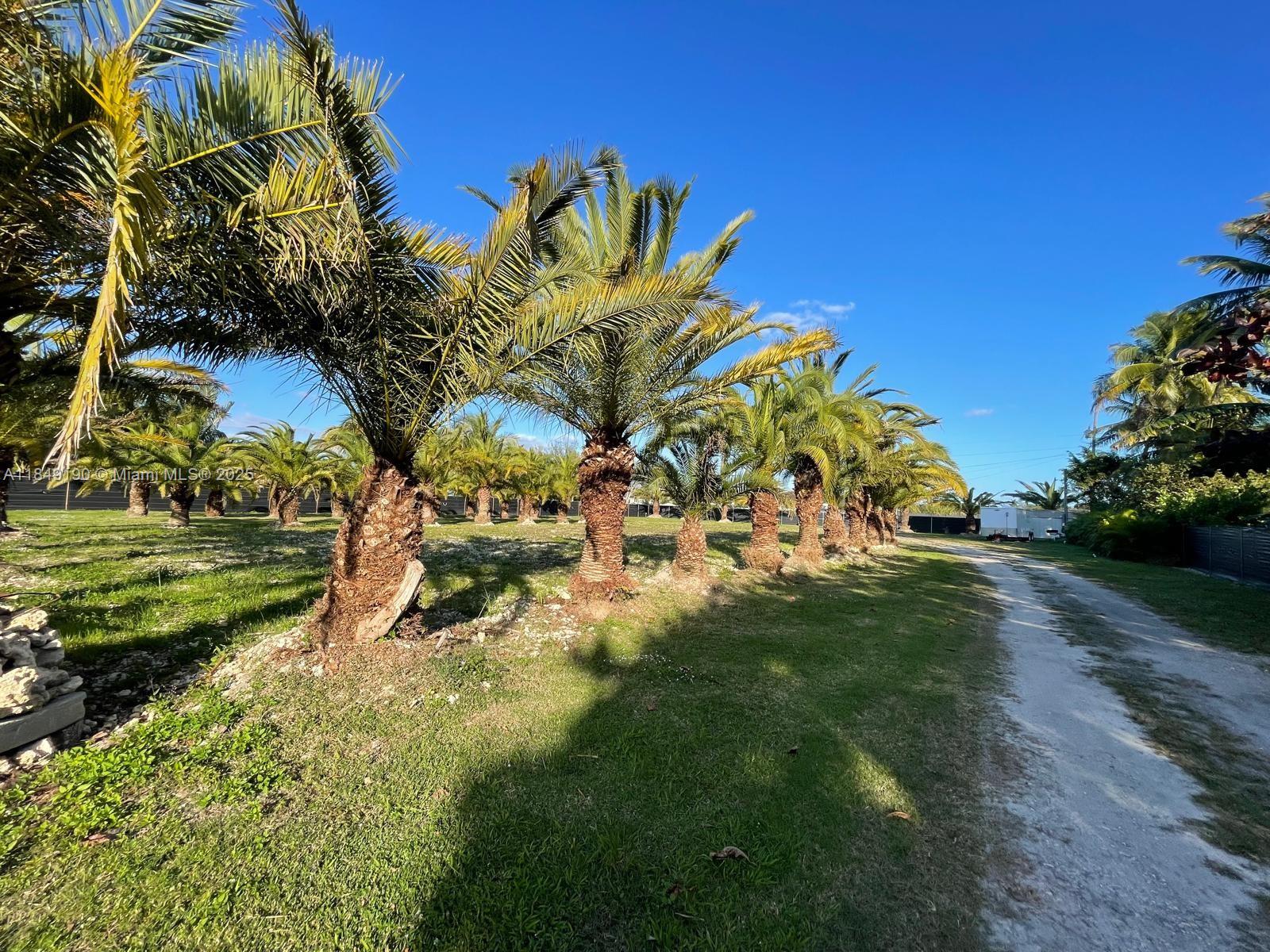 RANCHO LIMONAR SUBDIVISION - Land