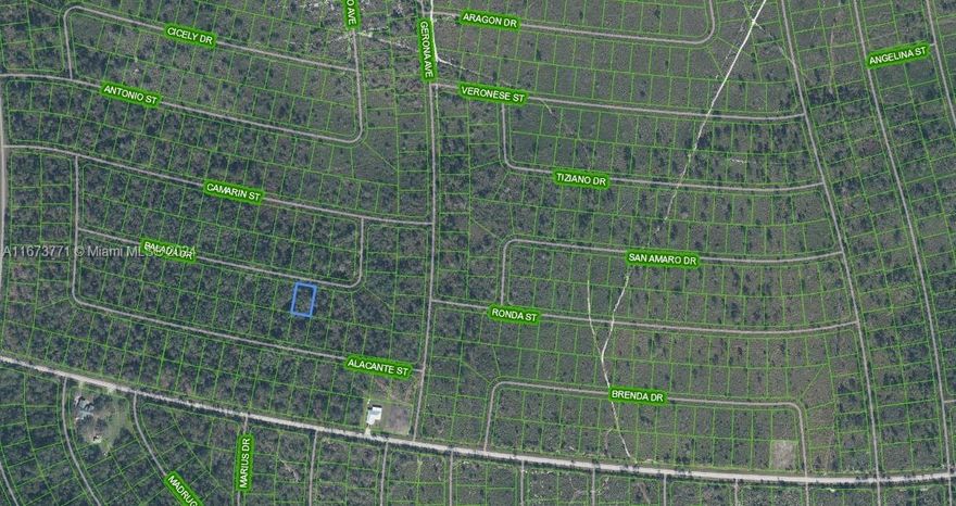 OWNER WILL FINANCE!!! Sun N Lakes development is building 100 acre water and sewage facility 3 lots away! With plans on building out properties closest to the facility first. Sun N Lakes community, a perfect place to build your dream home in which to raise your kids or retire. The Sun N Lakes community offers 2 18-Hole championship golf courses, restaurant, clubhouse, gym, playground, community pool, splash pad, community center, fitness center, pickle ball, and tennis. Sebring is centrally located 1.5 hours from Disney, 1.5 hours from Tampa and 1.45 hours from Ana Maria Island Beaches. Located close to Advent health and Sun N Lake Elementary. Huge double lot that can be divided to build two homesites. OWNER WILL FINANCE!!! 1K DOWN 305.68 A MONTH FOR 36 MONTHS AT 7% INTREST.