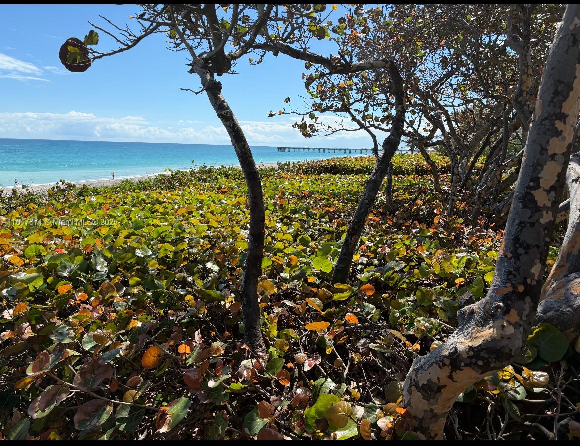 SEA COLONY CONDO - Residential