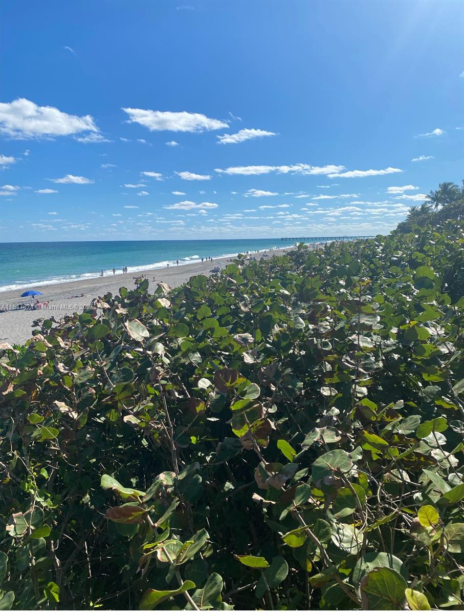 SEA COLONY CONDO - Residential
