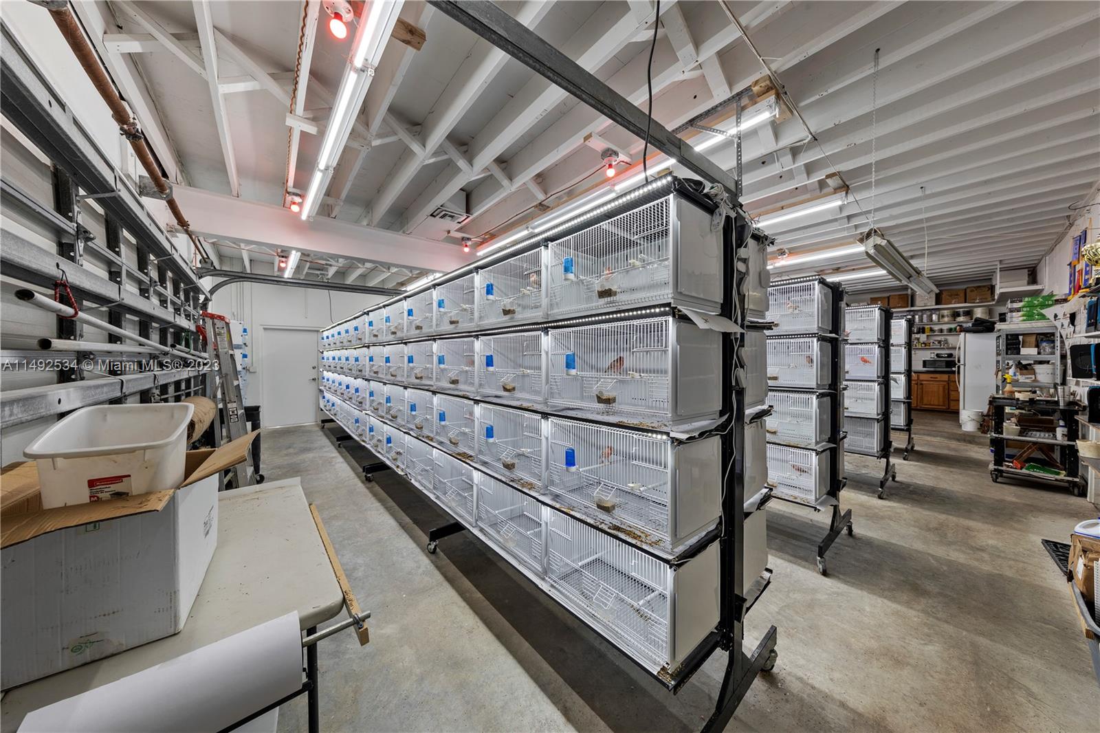 5 ACRE ESTATE - Residential