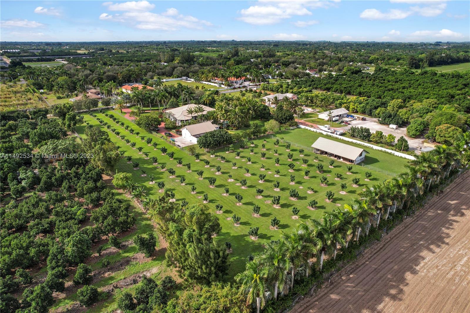 5 ACRE ESTATE - Residential
