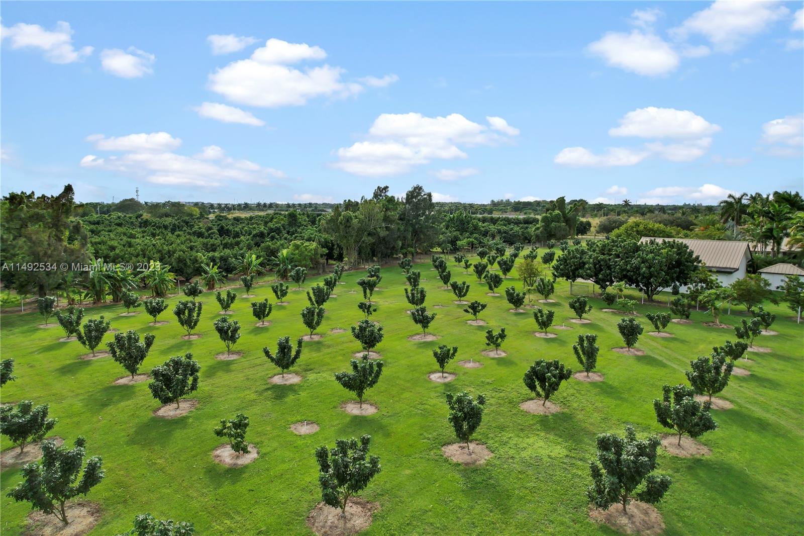 5 ACRE ESTATE - Residential