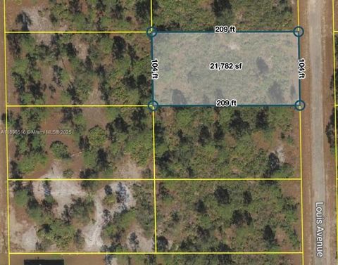 511 LOUIS AVE Lehigh Acres FL 33972