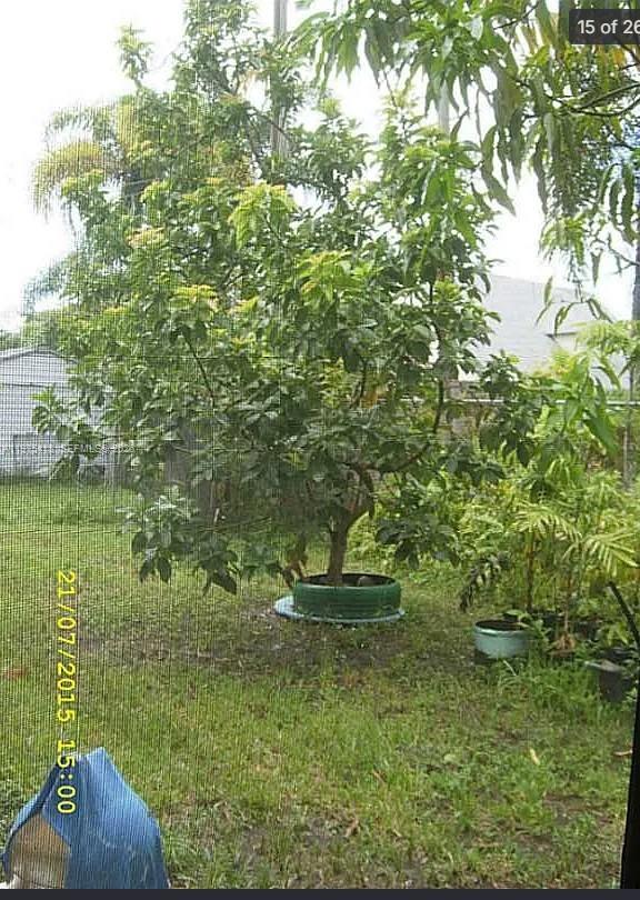 SAMSON HIGHLANDS - Residential