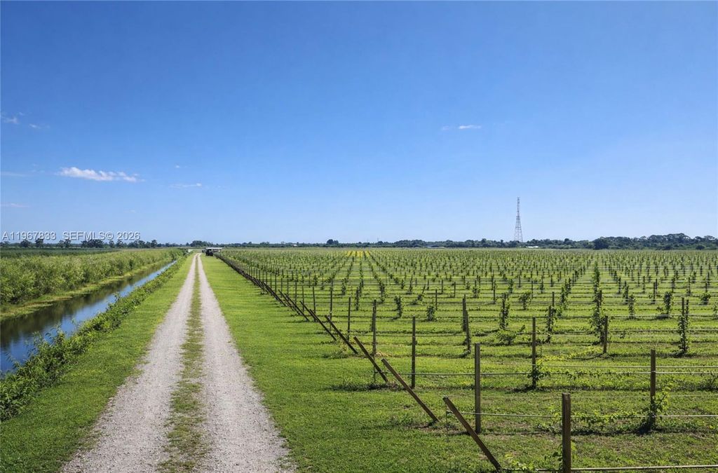 Photo of 595 N Header Canal Road #0, Fort Pierce, FL 34945 (MLS # A11967833)