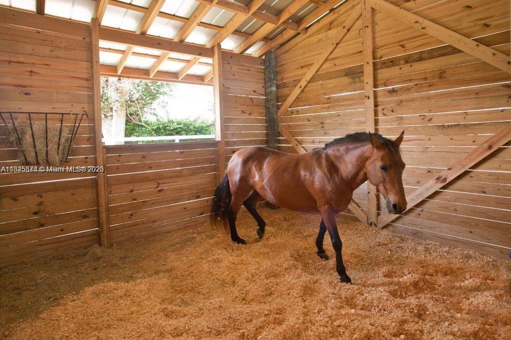 10 AC EQUESTRIAN FAC - Residential