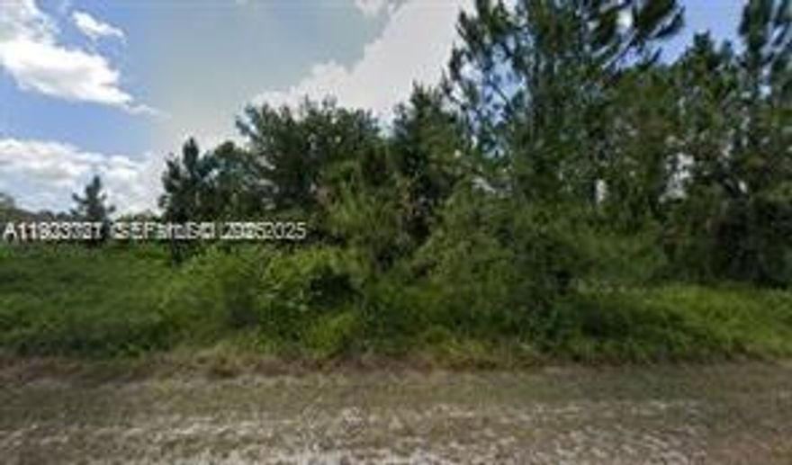 Discover the perfect opportunity to build your dream home or invest in one of Southwest Florida’s fastest-growing communities! This spacious 0.5-acre lot on a quiet residential street offers peaceful surroundings and plenty of room for a custom home, pool, or garden oasis. Conveniently located near schools, shopping, and easy access to SR-82, this property combines tranquility with accessibility. Whether you’re a builder, investor, or future homeowner, this is a fantastic piece of land to secure your future in Lehigh Acres!