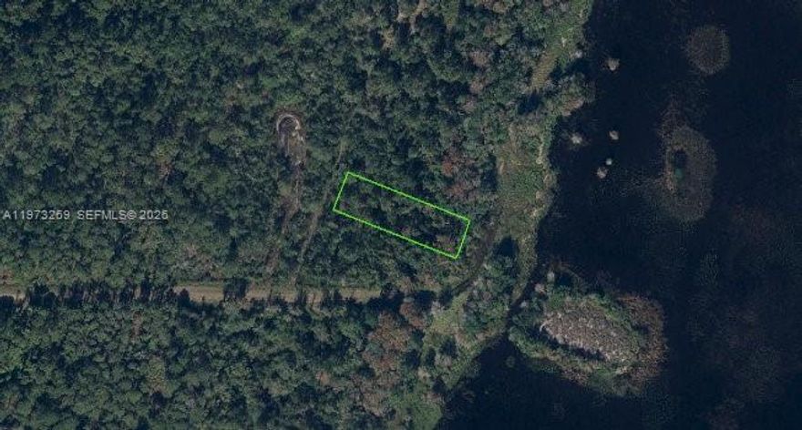A secluded, undeveloped wooded lot on Lake Iskatapoga:  thick with mature pines and live oaks,
Ideal for a low-impact, nature-forward retreat: a home tucked into the pines or kept wild as a conservation parcel. Utilities and access may require clearing and site work.
Lake Istokpoga is one of the state's largest freshwater lakes at roughly 26,000–27,000 acres. The lake's average depth about 4 ft, max around 10 ft, with extensive marshy shoreline and scattered islands, creating important habitat for wading birds, waterfowl, and fish. Istokpoga is well known regionally for recreational fishing—especially largemouth bass—boating and birdwatching, and it lies within the Kissimmee River watershed.