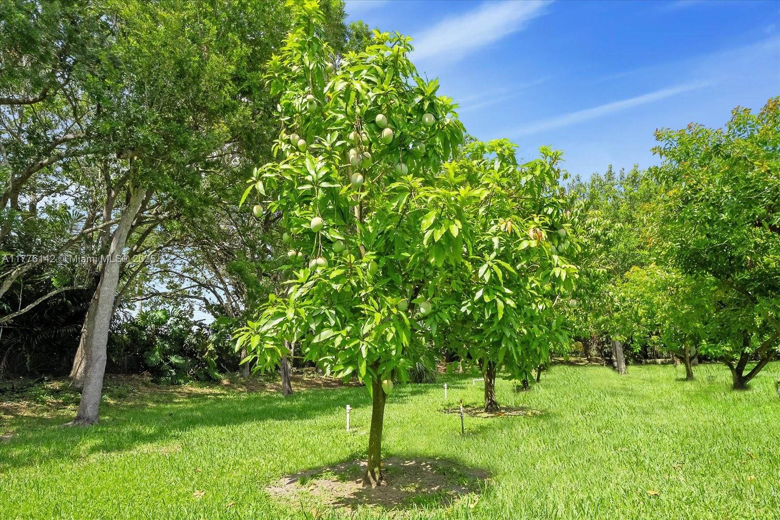 BREEZY OAKS - Land
