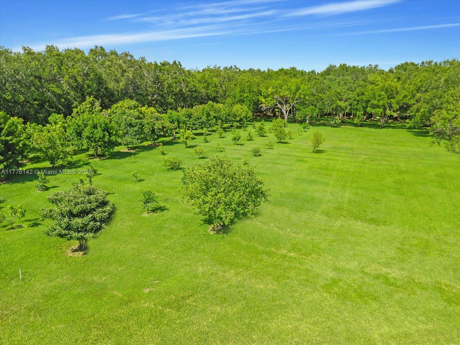 BREEZY OAKS - Land