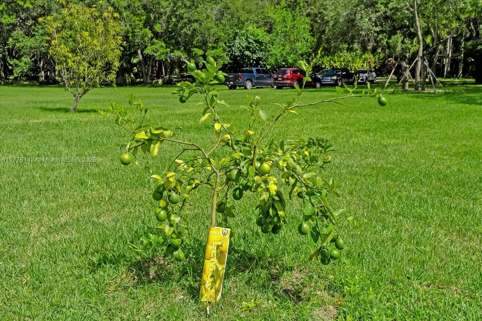 BREEZY OAKS - Land
