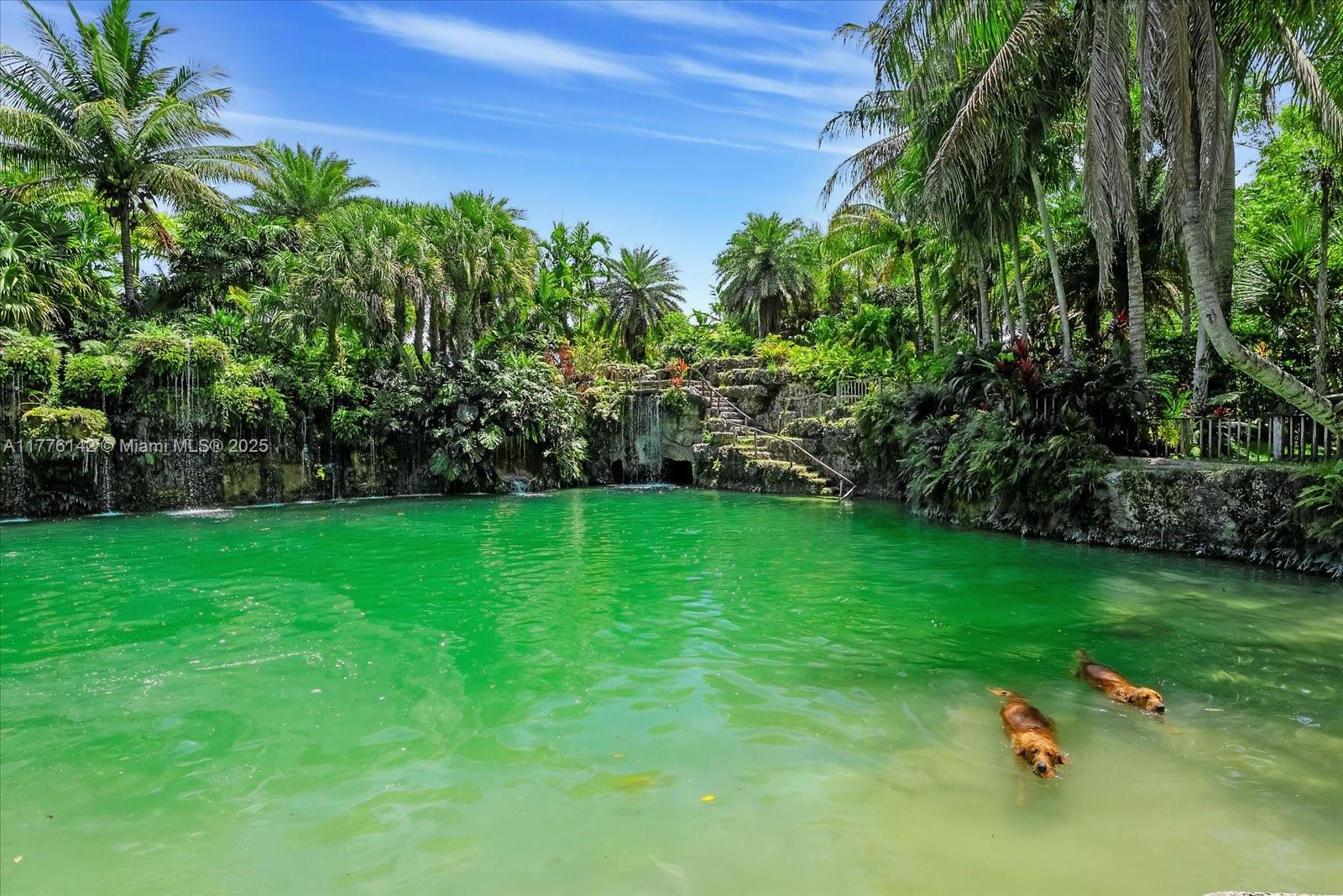 A rare chance to own Breezy Oaks, a tropical ranch, oasis and retreat unlike any other in South Florida. Breezy Oaks is a private oasis set within a Florida Pine Preserve, featuring three freshwater grottos artistically crafted by coral artist Ben Bistrong using water sourced from the Floridian aquifer. 15000 & 14900 SW 200th Street is a total of 14.37 acres. The property features a 3-bed, 3-bath farmhouse that spans 3,362 SF, surrounded by lush landscaping, fruit trees & a bee colony producing fresh honey. A peaceful sanctuary where you can swim, gather & enjoy total privacy—ideal for families, creatives or those seeking a natural retreat. A property that must be seen to be truly appreciated.