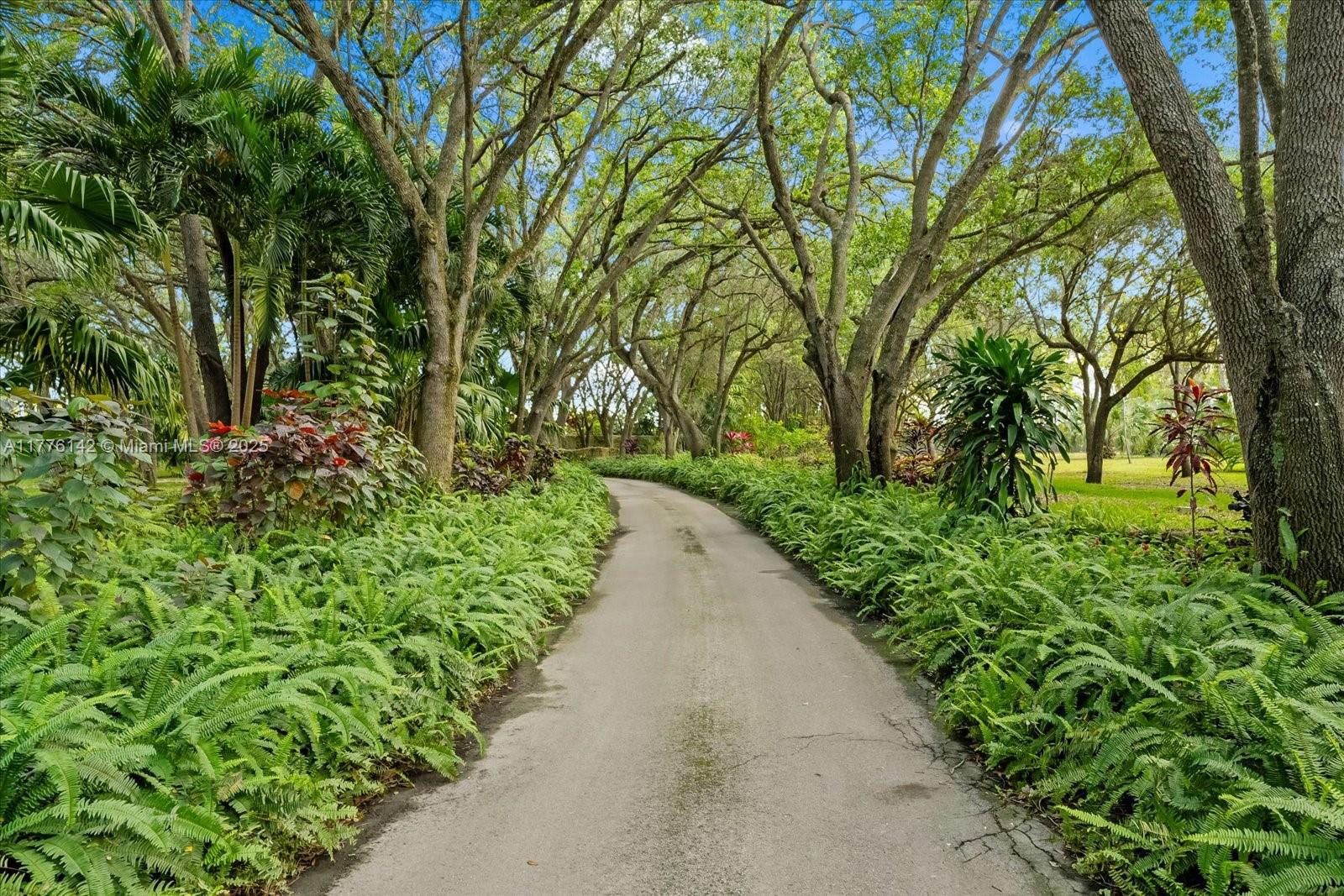 BREEZY OAKS - Land