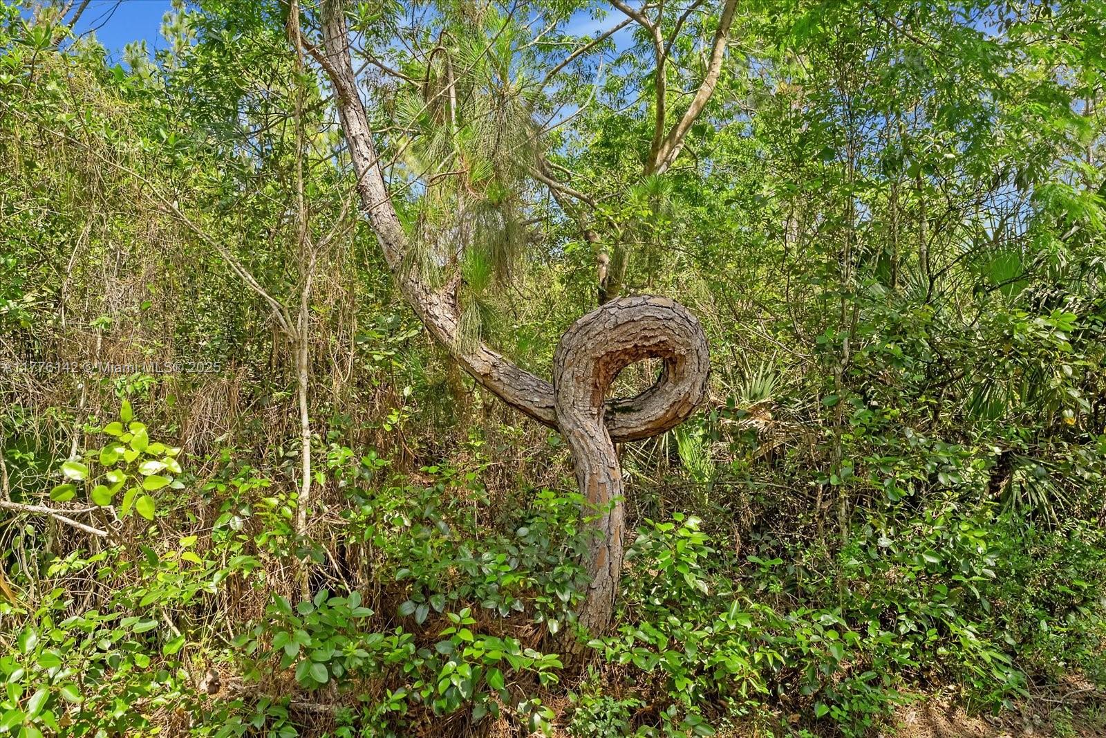 BREEZY OAKS - Land