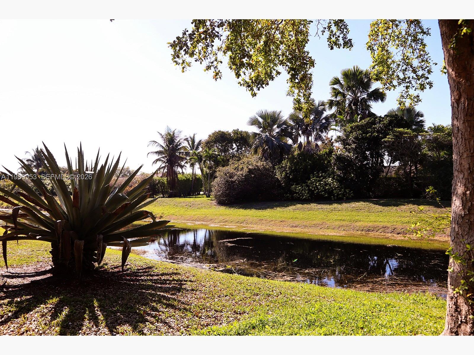 ORANGE TREE OF CORAL SPRI - Residential