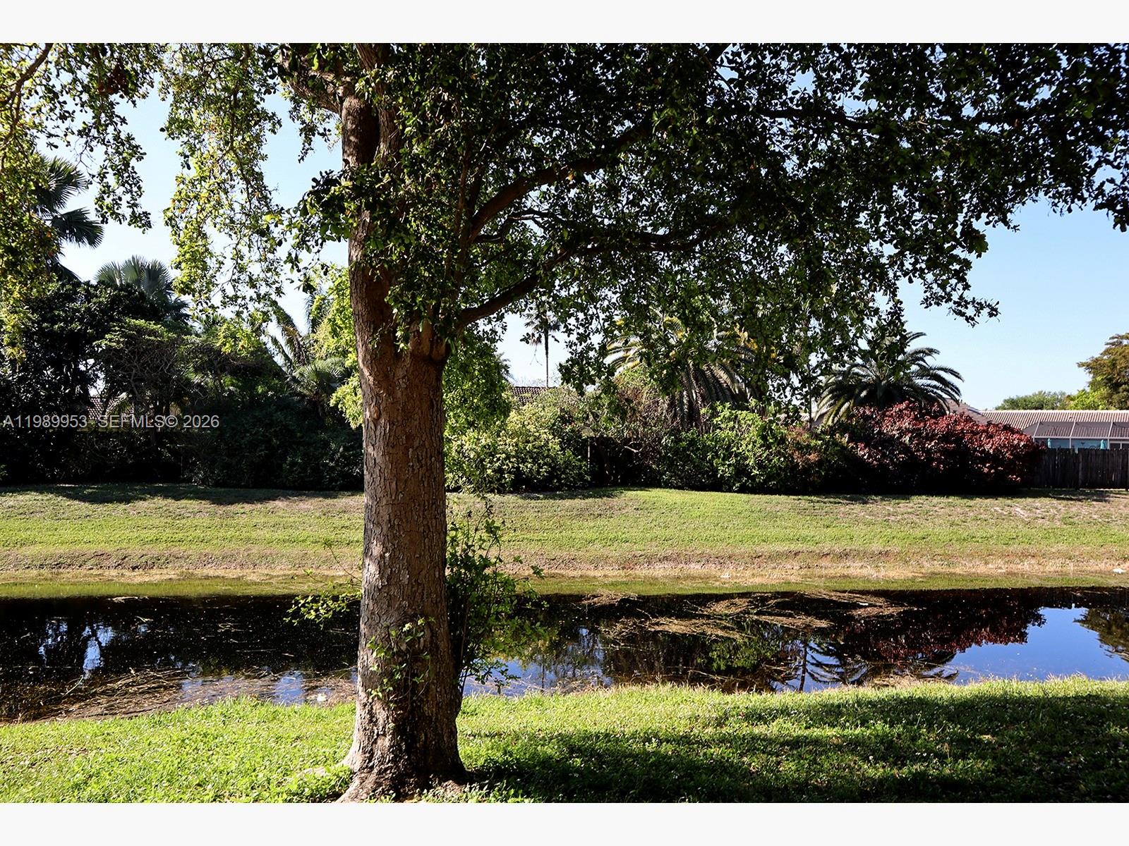 ORANGE TREE OF CORAL SPRI - Residential