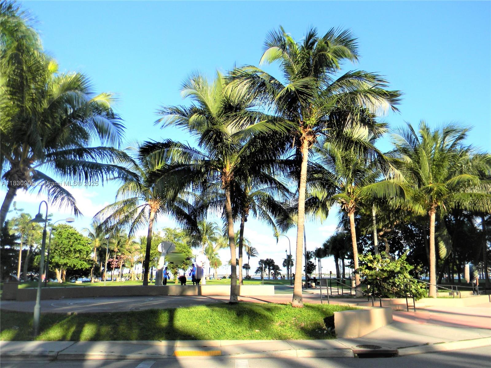 CITE CONDO - Residential