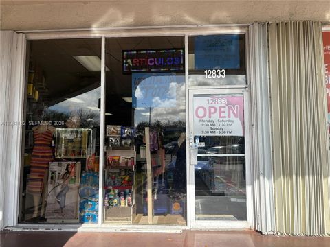 12801 SW 42nd St Miami FL 33175