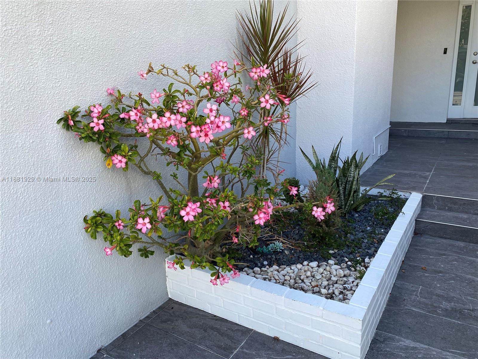 POINCIANA IS YT & RCQ CLU - Residential