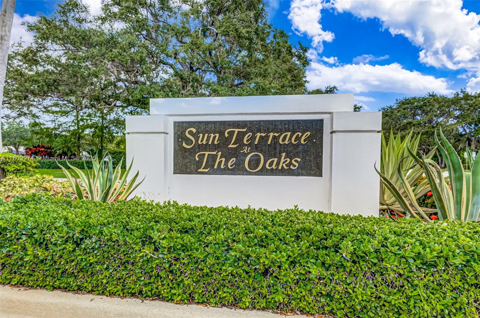 OAKS-SUNTERRACE 1 - Residential
