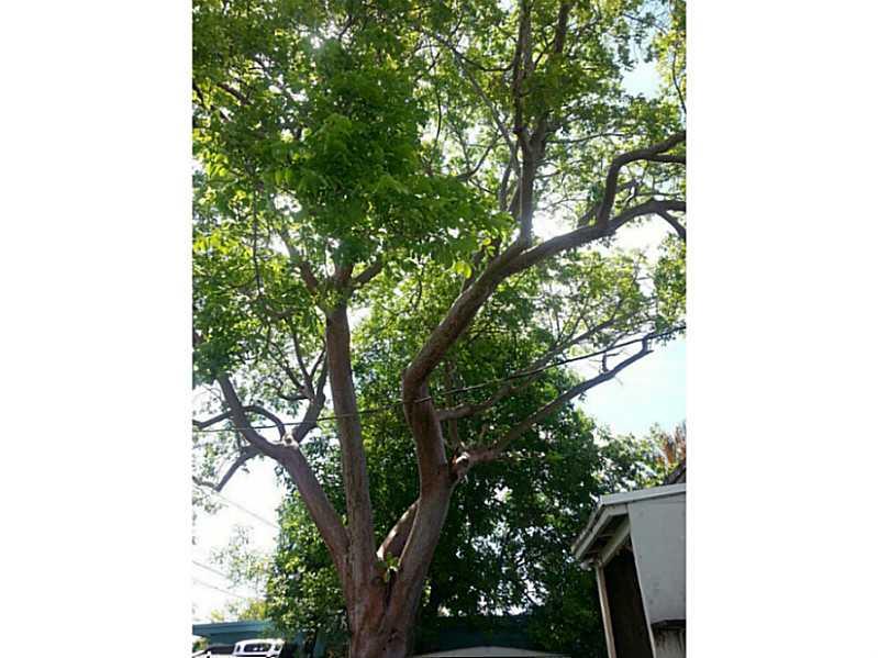 LAKE FOREST SEC 2 34-23 B - Residential Lease