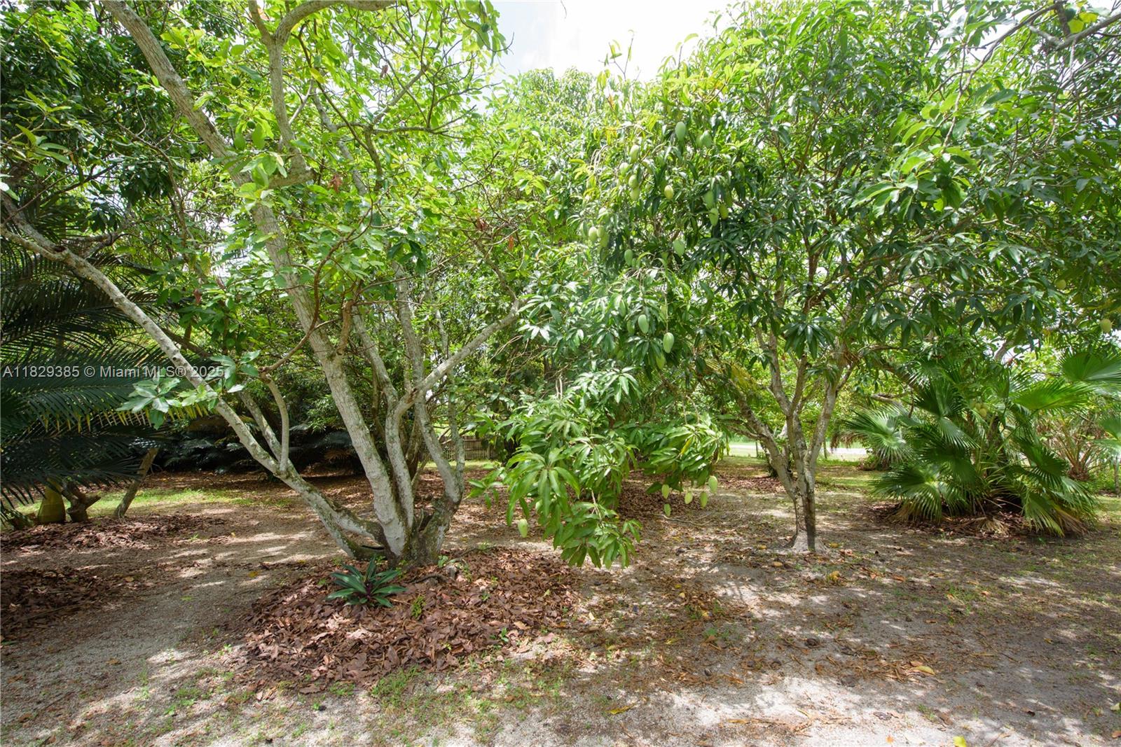 Redland - Residential