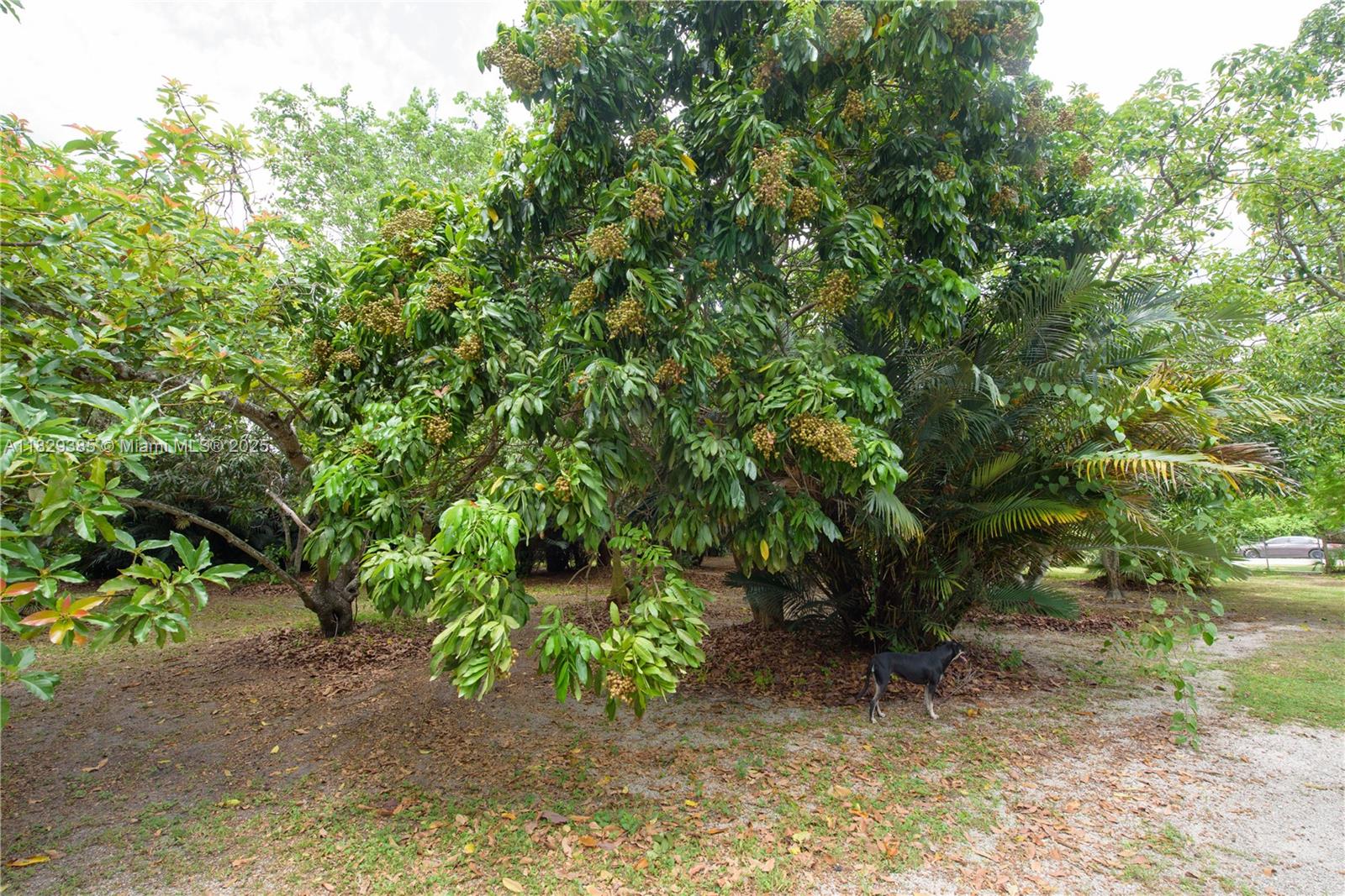 Redland - Residential