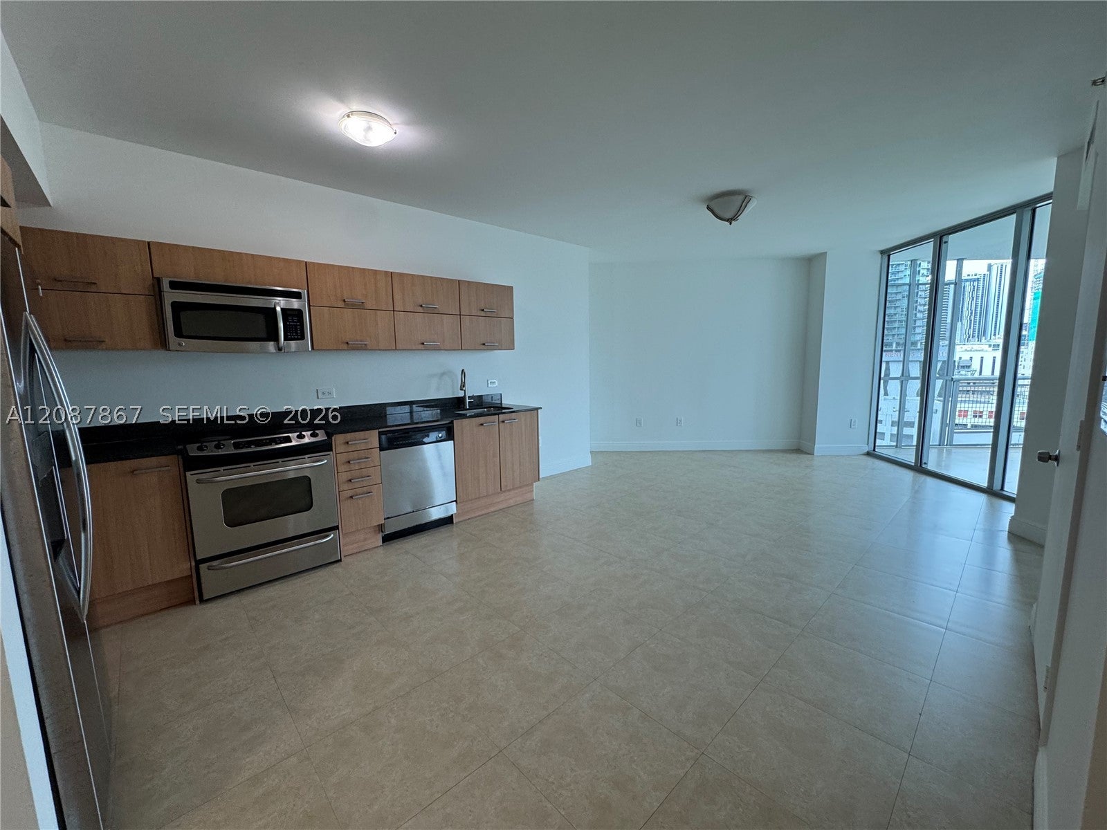 350 S Miami Ave 1209