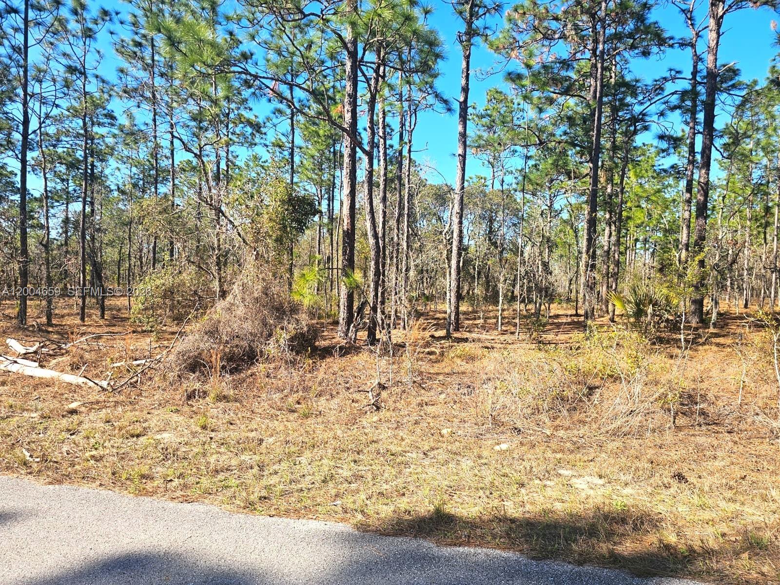 NO Situs NW Shamrock AVE