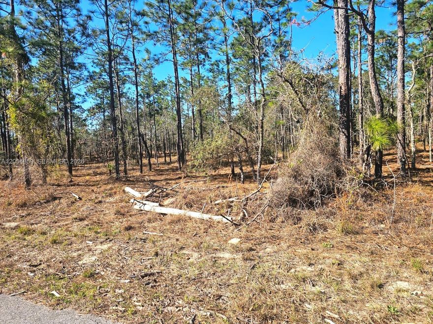 Spectacular 1.00-acre lot in desirable Rainbow Lakes Estates with no HOA and no flood zone! Located on a quiet paved road, this high-and-dry property offers space, privacy, and flexibility, with minimal trees to clear—ideal for easy development. Enjoy the best of Florida living just minutes from Rainbow Springs State Park for kayaking, hiking, and crystal-clear springs, and approximately 25 minutes from World Equestrian Center. Ellie Schiller Homosassa Springs Wildlife State Park is also within easy reach for nature lovers. Conveniently located near Dunnellon with easy access to Ocala, shopping, dining, and more. Hurry—great location with endless potential!