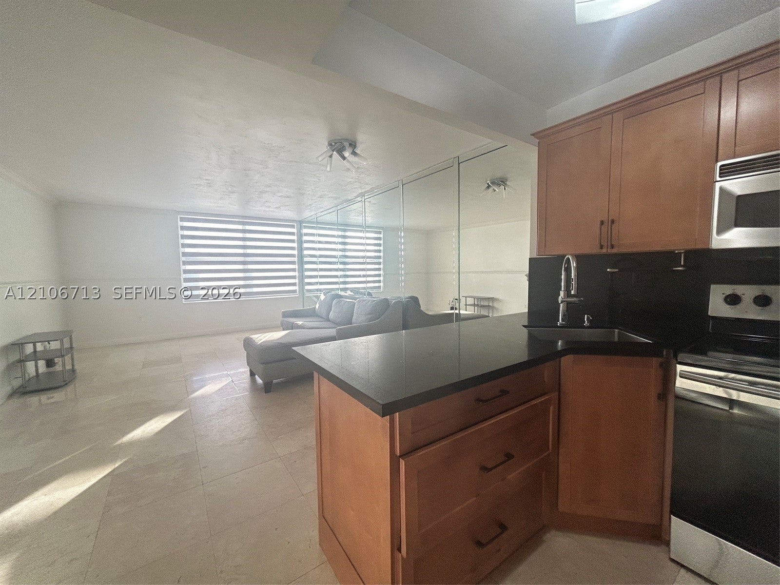 2899 Collins Ave 1538