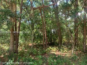 AVON PARK LAKES - Land