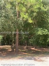 AVON PARK LAKES - Land