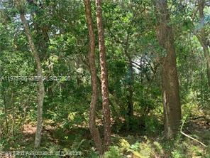 AVON PARK LAKES - Land