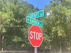 AVON PARK LAKES - Land