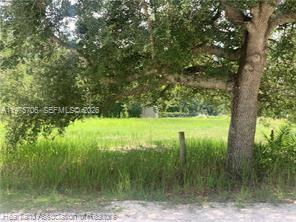 AVON PARK LAKES - Land