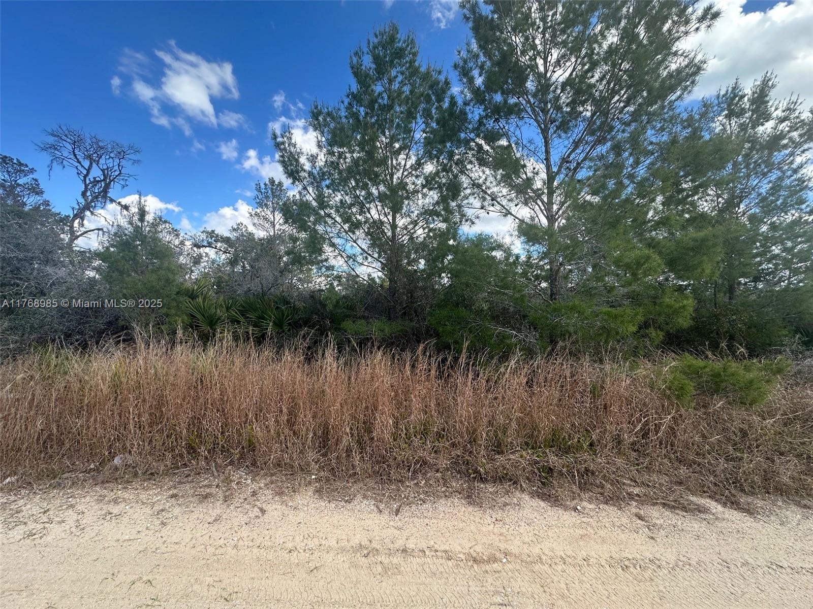 Owner financing available! Owner will finance with $2500 down and 30 monthly payments of $273.20. No credit check. Here is your chance to own an oversized lot (0.26 acres) in a growing community. Lots of new construction in the area. Power lines directly in front of property.