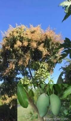 Redland RANCHOS DEL SOL - Residential