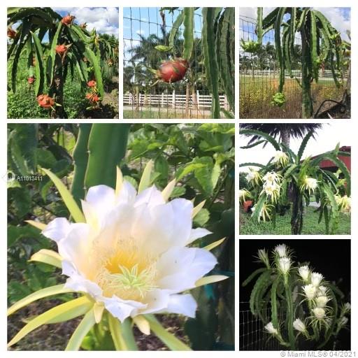 Redland RANCHOS DEL SOL - Residential