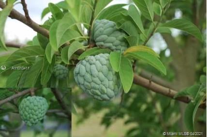 Redland RANCHOS DEL SOL - Residential